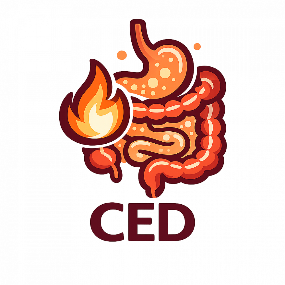 CED Icon Transparent CED Icon Transparent